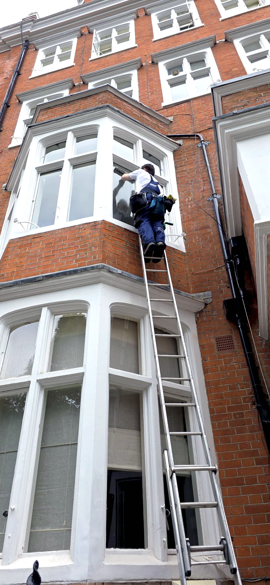 - N Clark Window Cleaning cleaning second-floor windows by hand on a ladder in Chelsea — streak-free finish